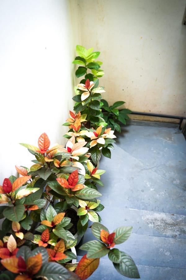The Bbc Cheliyan Villa Kandy Extérieur photo